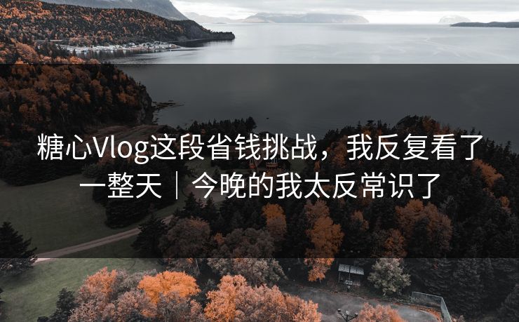 糖心Vlog这段省钱挑战，我反复看了一整天｜今晚的我太反常识了  第1张