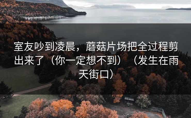 室友吵到凌晨，蘑菇片场把全过程剪出来了（你一定想不到）（发生在雨天街口）  第1张