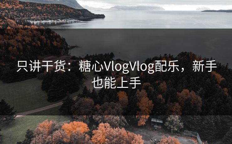 只讲干货:糖心VlogVlog配乐,新手也能上手 第1张 只讲干货:糖心VlogVlog配乐,新手也能上手 第1张