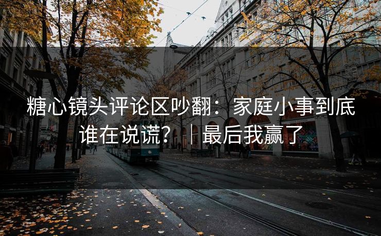 糖心镜头评论区吵翻:家庭小事到底谁在说谎?|最后我赢了 第1张 糖心镜头评论区吵翻:家庭小事到底谁在说谎?|最后我赢了 第1张