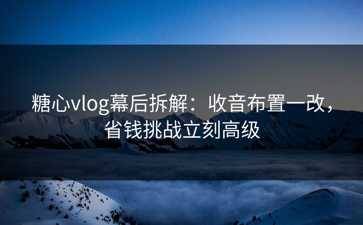 糖心vlog幕后拆解：收音布置一改，省钱挑战立刻高级  第1张