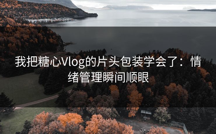 我把糖心Vlog的片头包装学会了：情绪管理瞬间顺眼  第1张