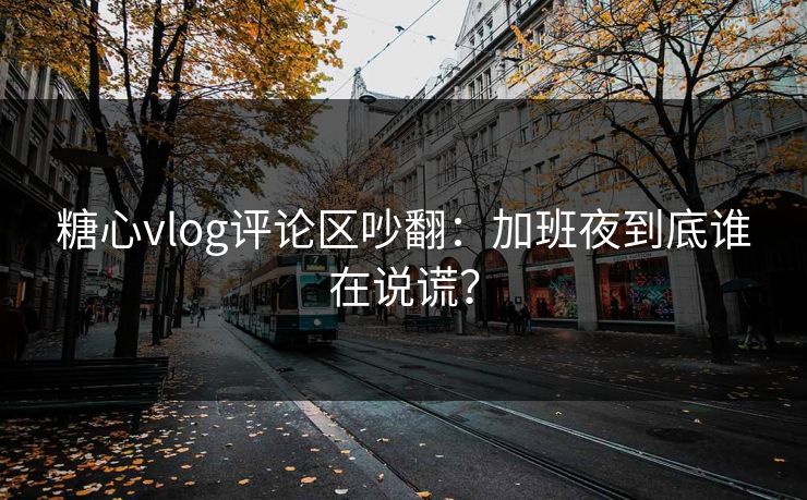 糖心vlog评论区吵翻:加班夜到底谁在说谎? 第1张 糖心vlog评论区吵翻:加班夜到底谁在说谎? 第1张