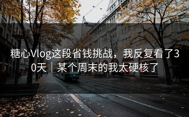 糖心Vlog这段省钱挑战，我反复看了30天｜某个周末的我太硬核了  第1张