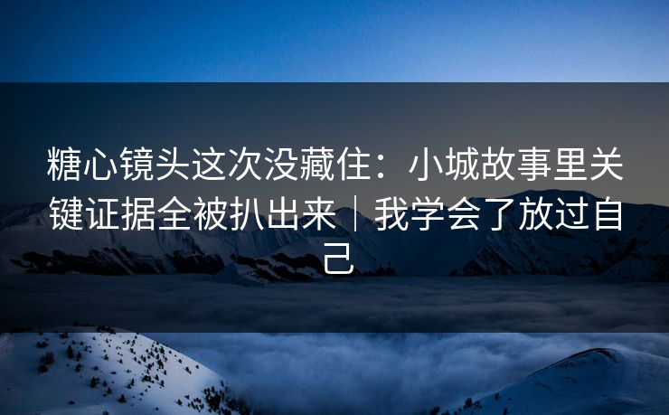 糖心镜头这次没藏住：小城故事里关键证据全被扒出来｜我学会了放过自己