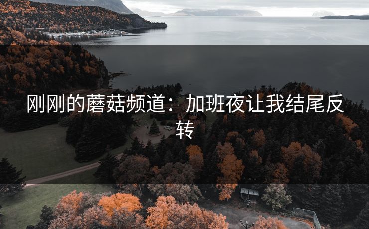 刚刚的蘑菇频道：加班夜让我结尾反转