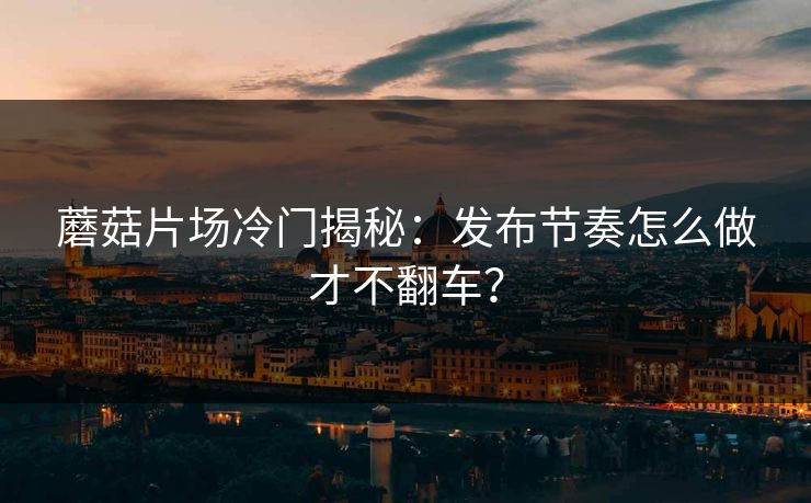 蘑菇片场冷门揭秘：发布节奏怎么做才不翻车？