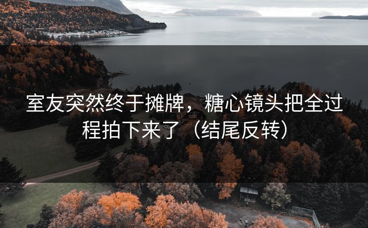 室友突然终于摊牌，糖心镜头把全过程拍下来了（结尾反转）