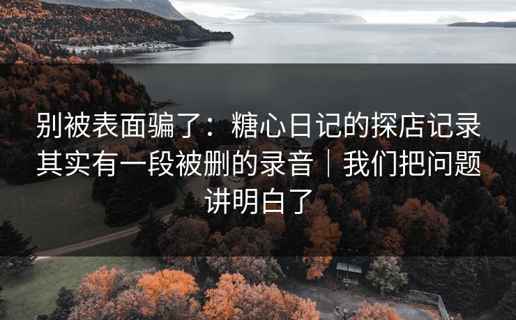 别被表面骗了：糖心日记的探店记录其实有一段被删的录音｜我们把问题讲明白了