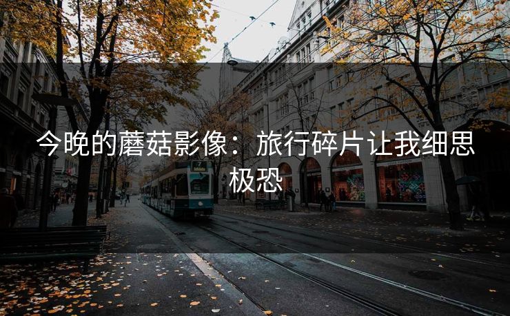 今晚的蘑菇影像：旅行碎片让我细思极恐