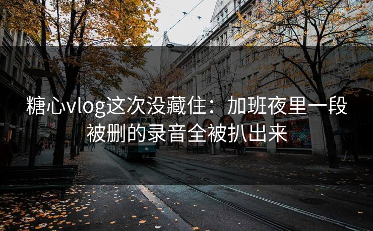 糖心vlog这次没藏住:加班夜里一段被删的录音全被扒出来 糖心vlog这次没藏住:加班夜里一段被删的录音全被扒出来